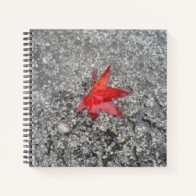 Red fall leaf in rain on grey textured road notebook (Front)