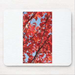 Red Fall Mouse Pad