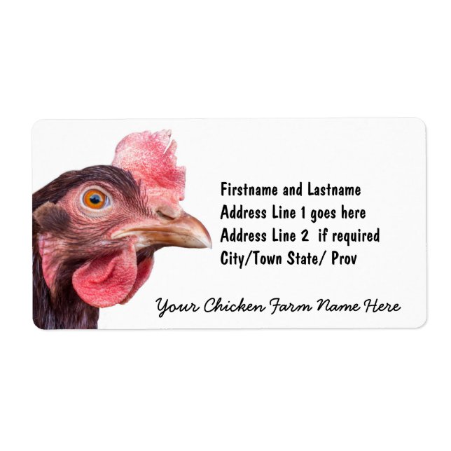 Red Feathered Chicken Egg Layer Hen (Front)
