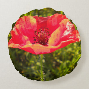 Red field poppy pillow