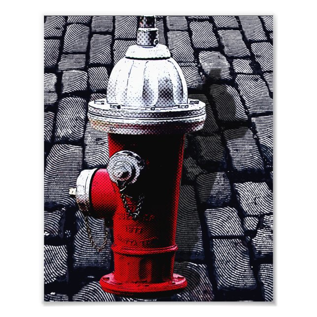 Red Fire Hydrant NYC Illustration Photo Print (Front)