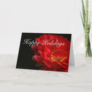 Red Firelight Cactus Flower Happy Holidays Holiday Card