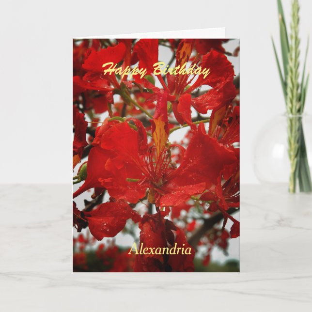 Red Flamboyant Flowers Floral Birthday Custom Card (Front)