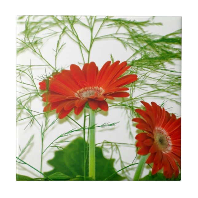 Red Floral Tile (Front)