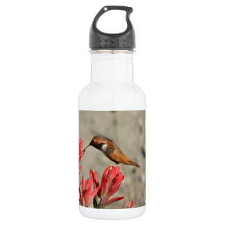 Red flower bird 532 ml water bottle
