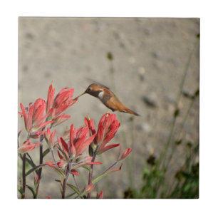 Red flower bird tile