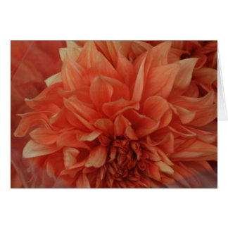 Red Flower card *Blank