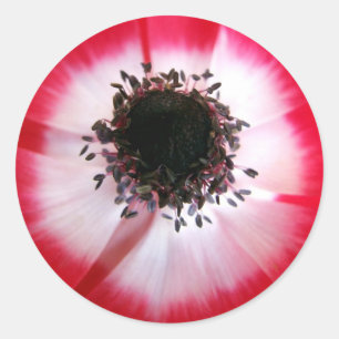Red Flower Centre Sticker