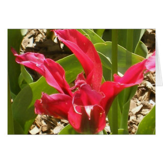 Red Flower - Customised