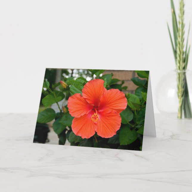 Red Flower Greeting Card (Front)