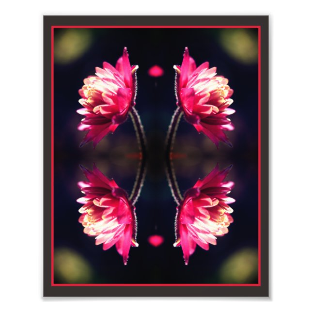 Red Flower In Sunlight Mirror Abstract 8x10 Photo Print (Front)