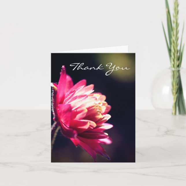 Red Flower In Sunlight Thank You Card (Front)