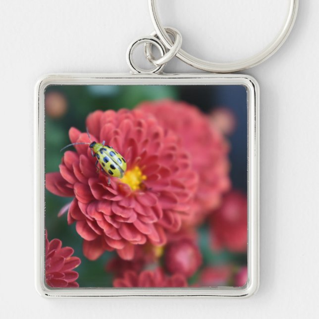 Red Flower Nature Photography Beetle Insect Bug Key Ring (Front)