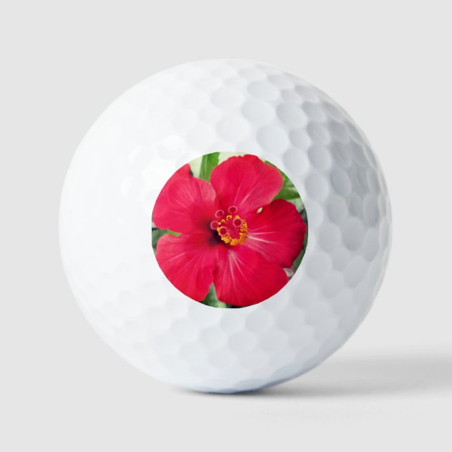 Red Flower of Hibiscus Rosa-sinensis Golf Balls (Front)