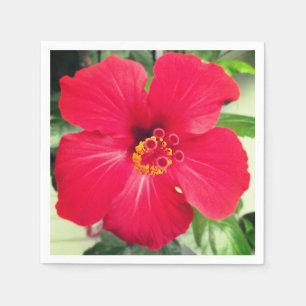 Red Flower of Hibiscus Rosa-sinensis Napkin