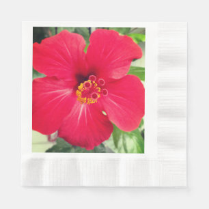 Red Flower of Hibiscus Rosa-sinensis Napkin