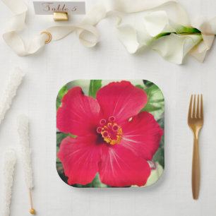 Red Flower of Hibiscus Rosa-sinensis Paper Plate