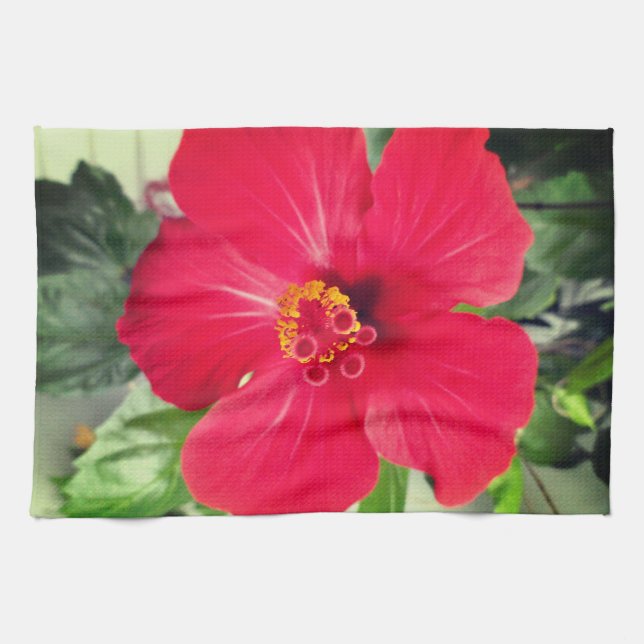 Red Flower of Hibiscus Rosa-sinensis Tea Towel (Horizontal)