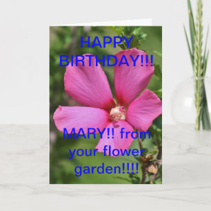 Red Flower on a BUSH close up BIRTHDAY CARD
