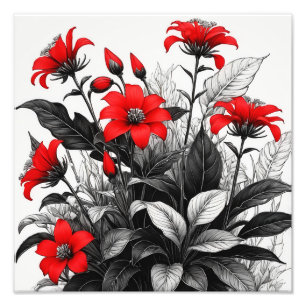 Red Flower On Black White Plant  Photo Print