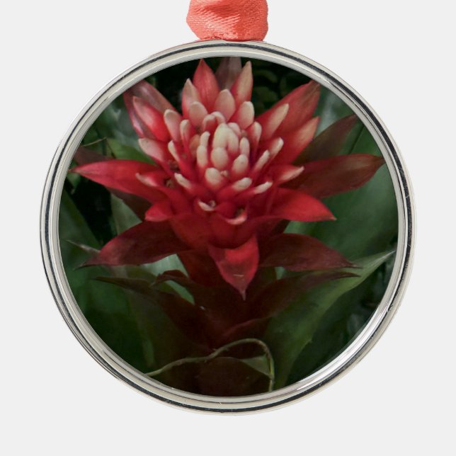 Red Flower Ornament (Front)