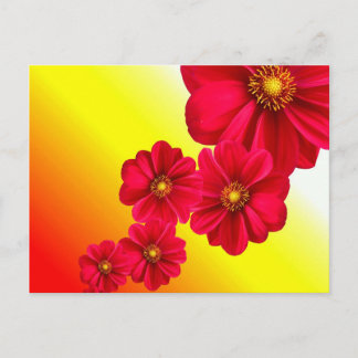Red Flower Postcard