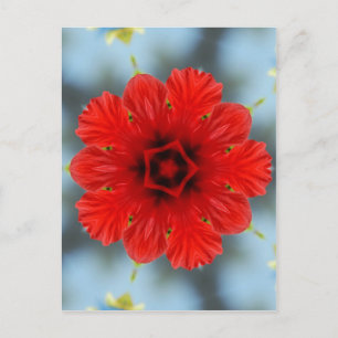 Red Flower Postcard
