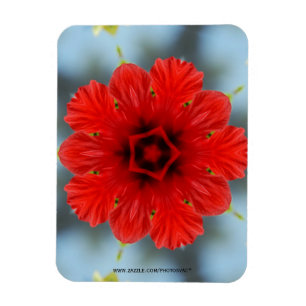 Red Flower Premium Magnet