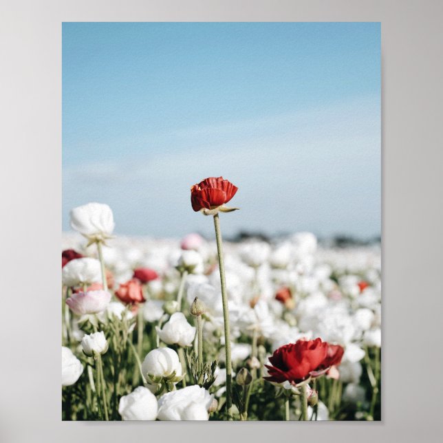Red flower Print, Value Poster Paper (Semi-Gloss) (Front)