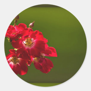 Red flower sticker