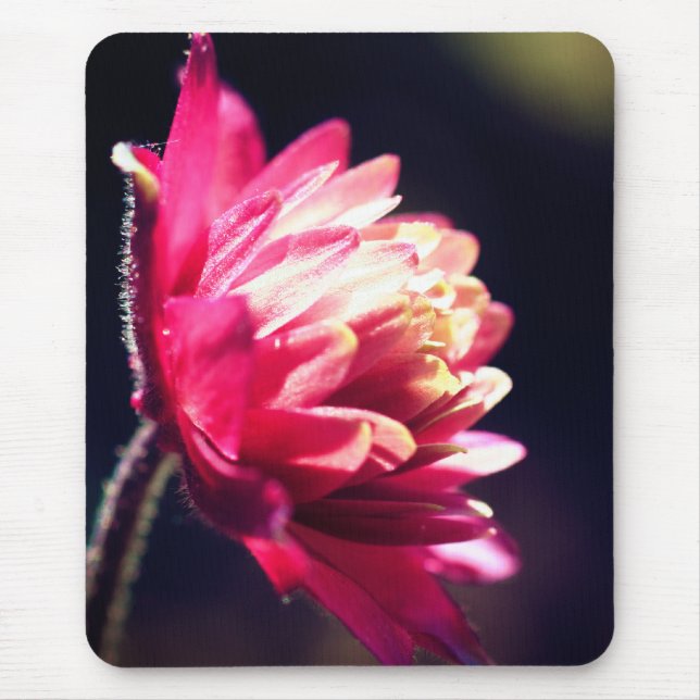 Red Flower Sunlight Floral  Mouse Pad (Front)
