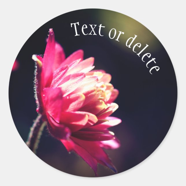 Red Flower Sunlight Personalised Classic Round Sticker (Front)