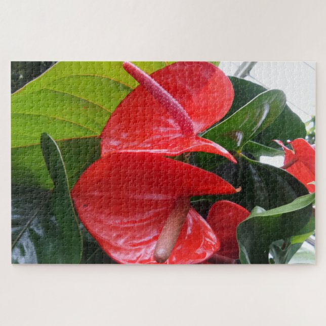Red Flowers Jigsaw Puzzle (Horizontal)