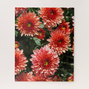 Red flowers of chrysanthemum jigsaw puzzle