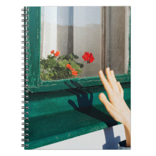 Red flowers on green wooden window notebook