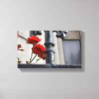 Red Flowers Wrought Iron New York City Photography
