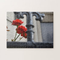 Red Flowers Wrought Iron New York City Photography