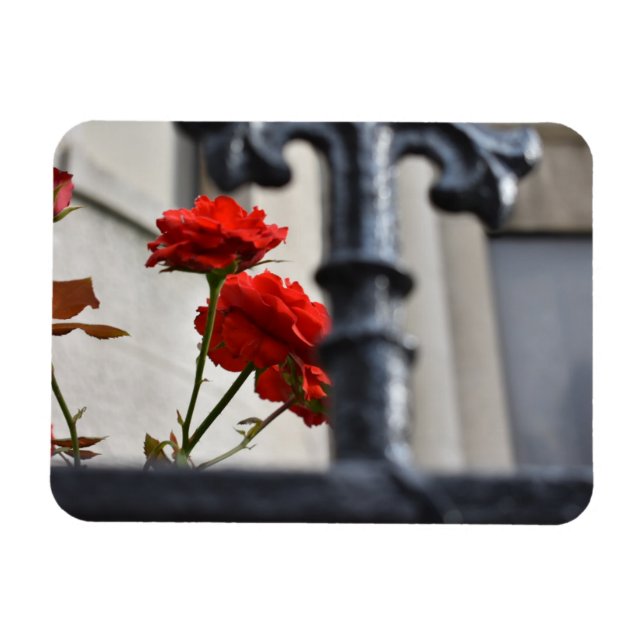 Red Flowers Wrought Iron New York City Photography Magnet (Horizontal)