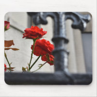 Red Flowers Wrought Iron New York City Photography