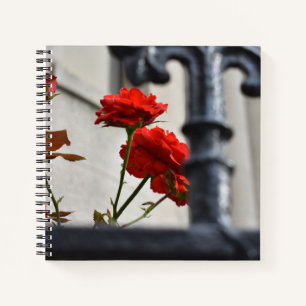Red Flowers Wrought Iron New York City Photography Notebook