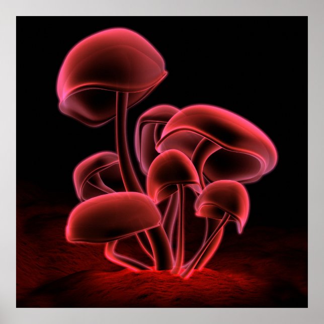 Red Fluorescence (Square) Poster (Front)