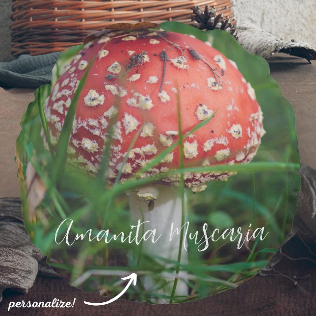 Red fly agaric mushroom round cushion (Creator Uploaded)