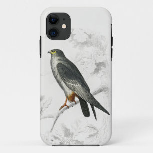 Red-footed Falcon Illustration Vintage Art Print Case-Mate iPhone Case