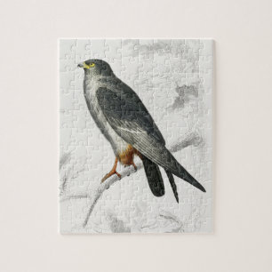 Red-footed Falcon Illustration Vintage Art Print Jigsaw Puzzle