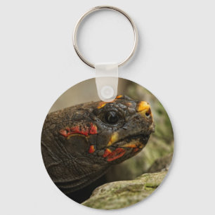 Red-Footed Tortoise Key Ring