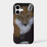 Red Fox