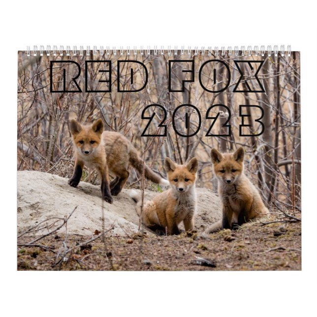 Red Fox 2023 - Calendar (Cover)