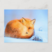 *~* Red Fox Ap18 Artistic  Painting Wildlife Artsy