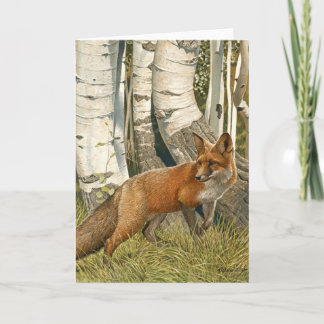 Red Fox & Aspen Trees "LAST LOOK" Holiday Card