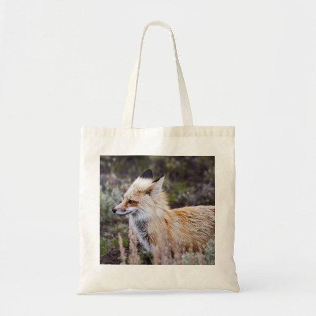 Red Fox - Bag (Front)